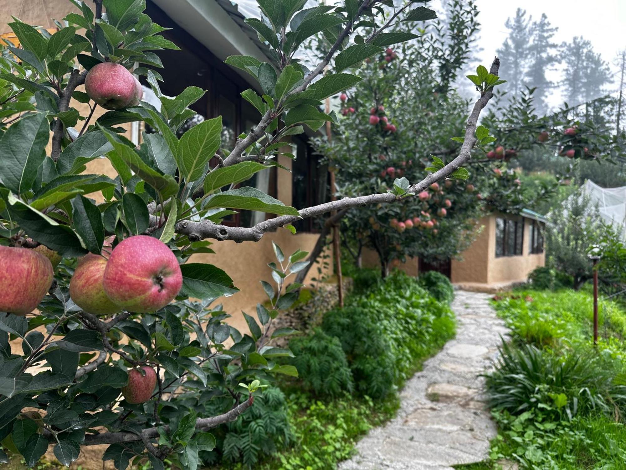 Готель Daak Bangla Retreat Куфрі Екстер'єр фото
