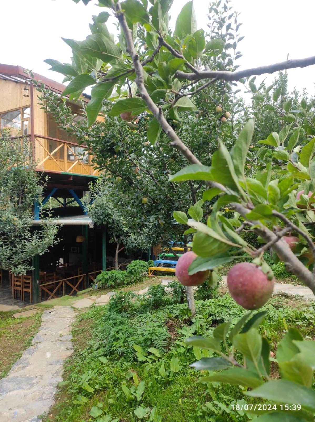 Готель Daak Bangla Retreat Куфрі Екстер'єр фото
