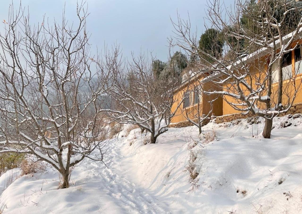 Готель Daak Bangla Retreat Куфрі Екстер'єр фото