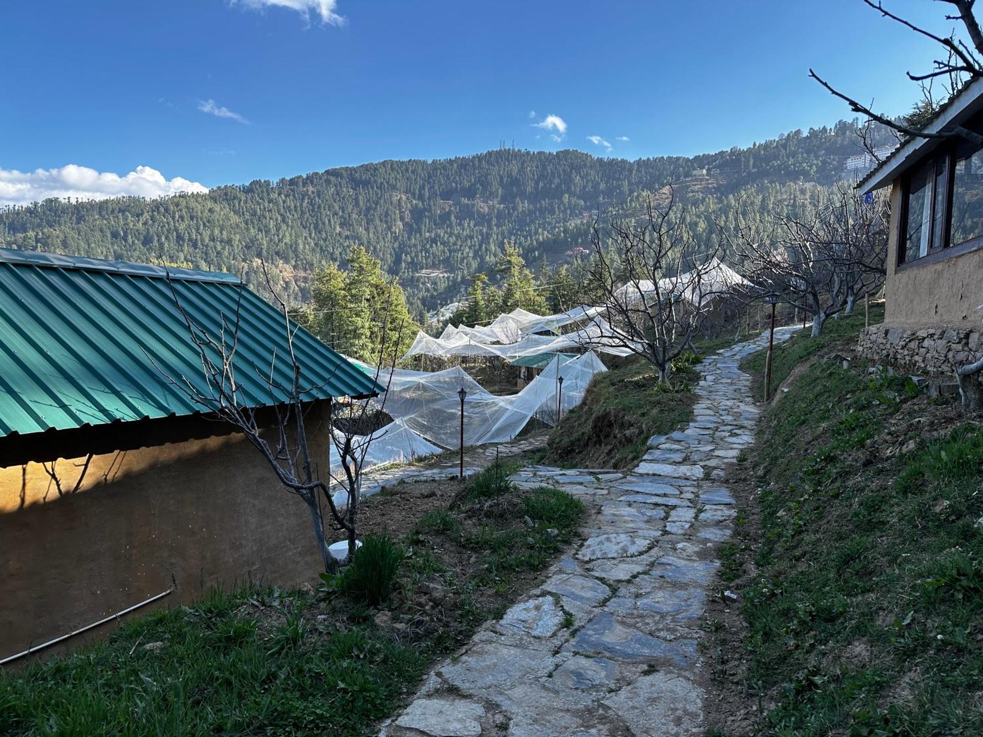 Готель Daak Bangla Retreat Куфрі Екстер'єр фото