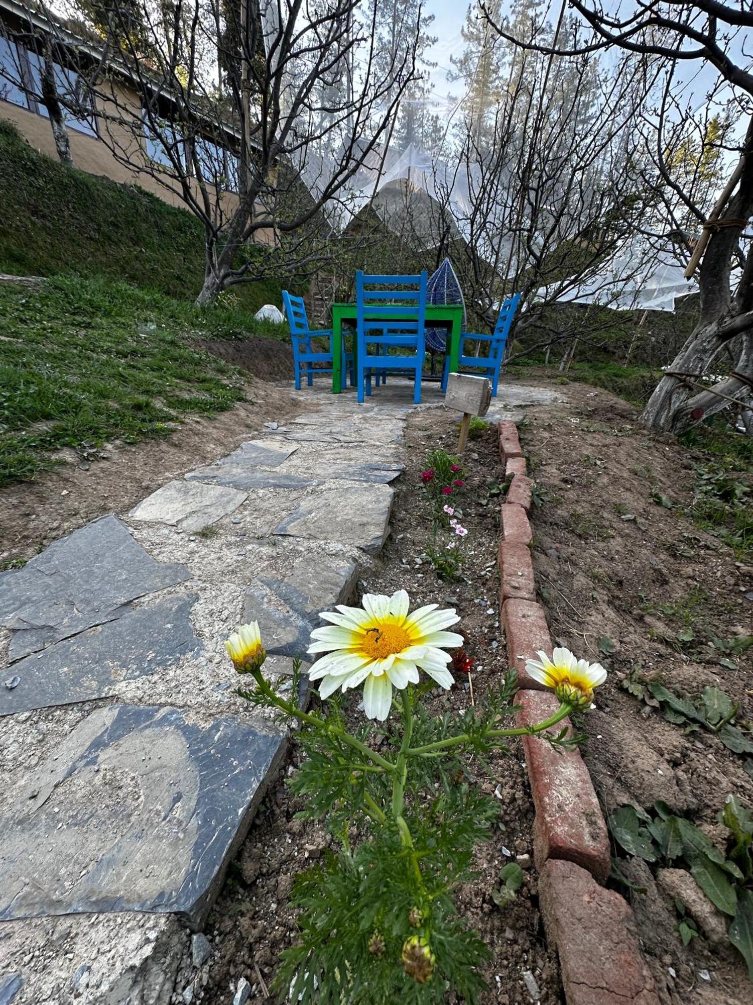 Готель Daak Bangla Retreat Куфрі Екстер'єр фото